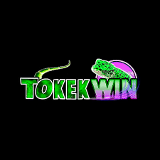 TOKEKWIN - Aplikasi Catatan Keuangan Terbaik untuk Mengelola Keuangan Anda